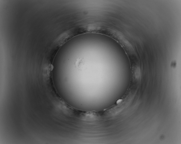 X0000103400475200809121246