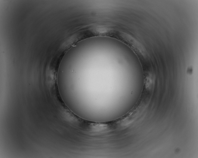 X0000103400476200809121246