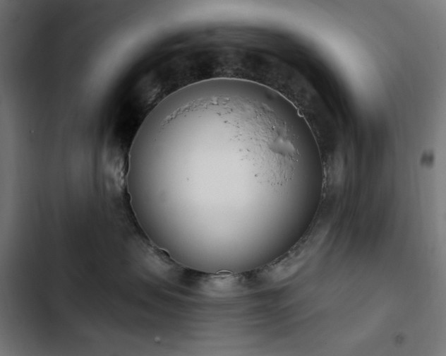 X0000103400479200809121246