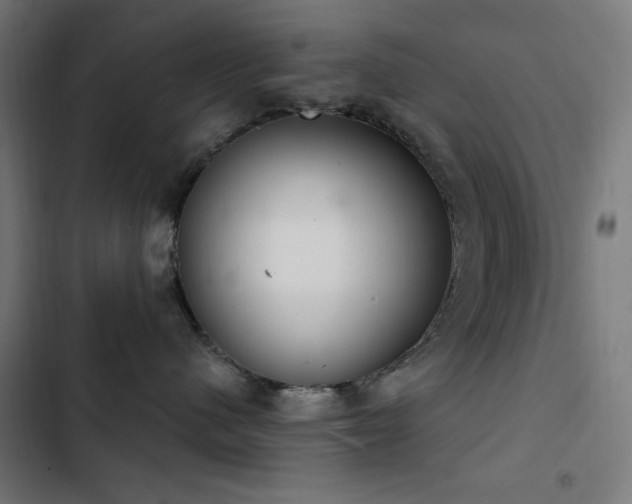 X0000103400480200809121246