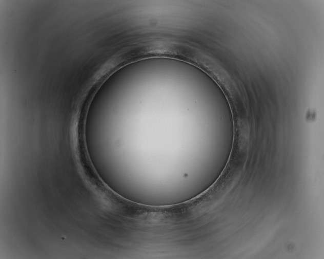 X0000103400482200809121245