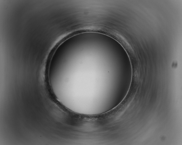 X0000103400484200809121245