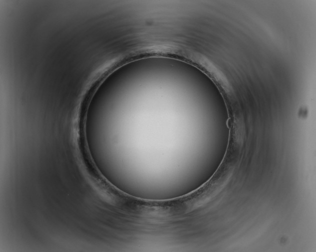 X0000103400486200809121245