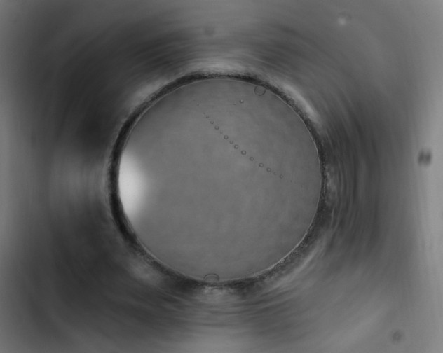 X0000103400487200809121245