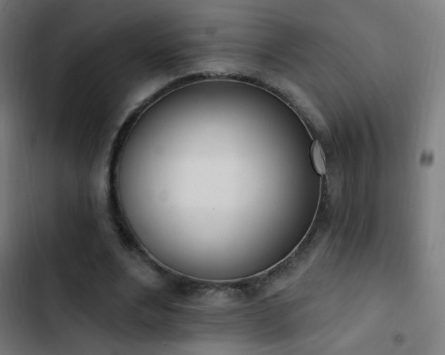 X0000103400488200809121245