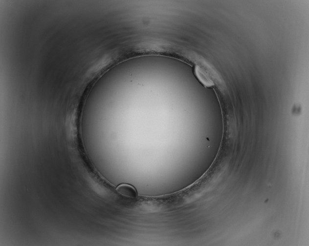 X0000103400489200809121245