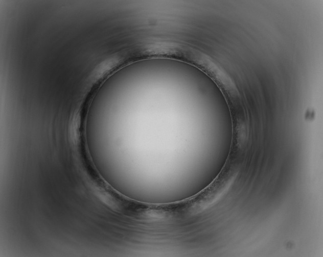 X0000103400490200809121245