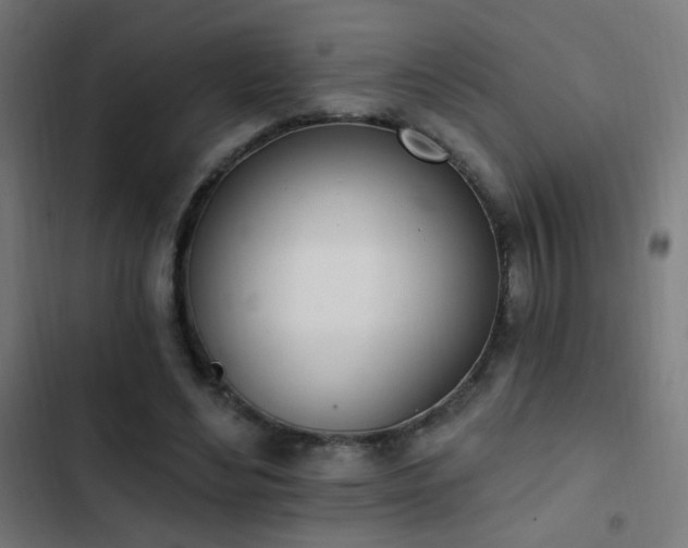 X0000103400492200809121245