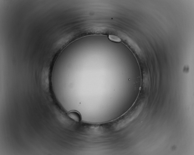 X0000103400493200809121245