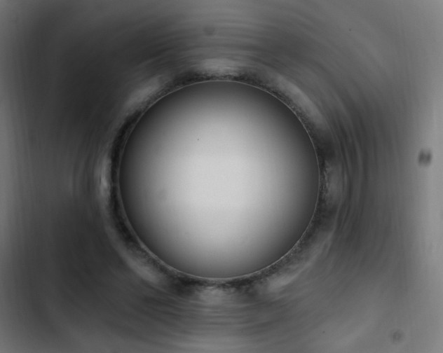 X0000103400494200809121245