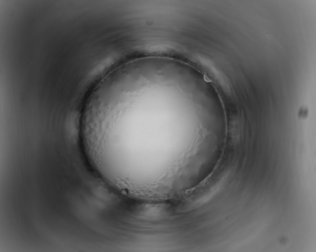 X0000103400495200809121245