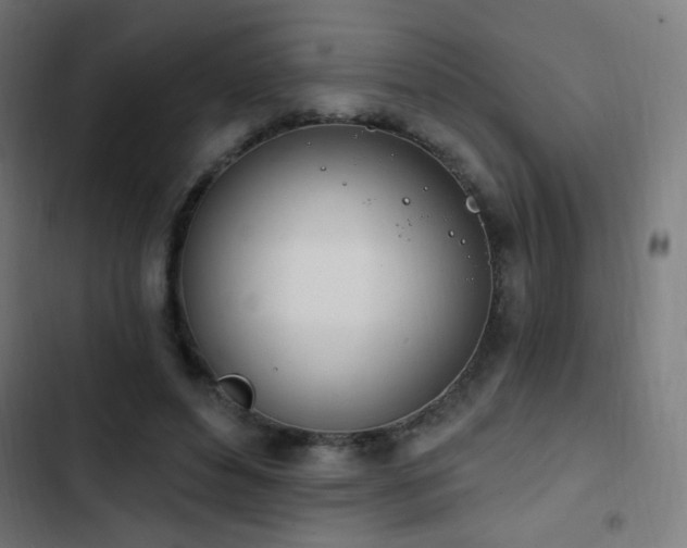 X0000103400496200809121245