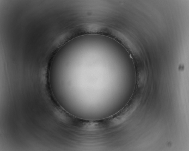 X0000103400497200809121245