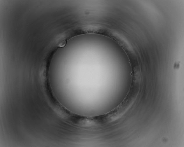 X0000103400498200809121245