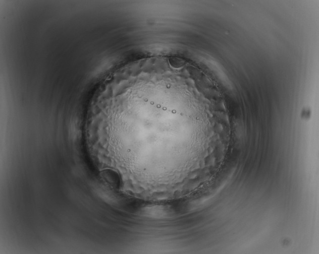 X0000103400499200809121245