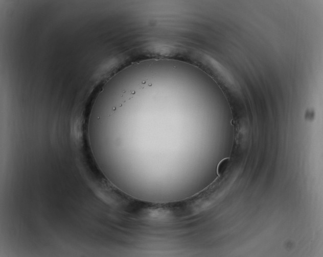 X0000103400500200809121245