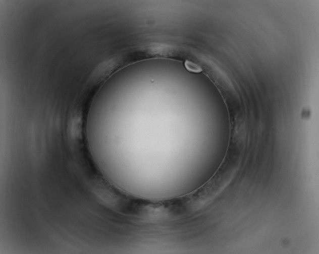 X0000103400502200809121245