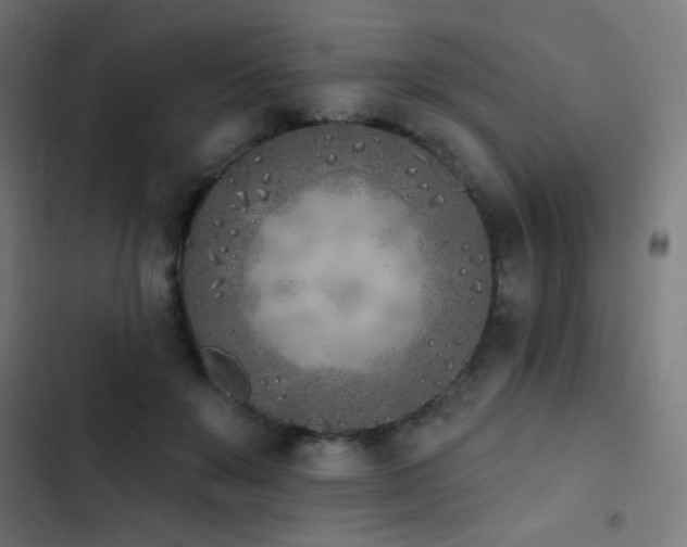 X0000103400503200809121245