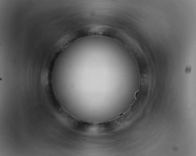 X0000103400504200809121245