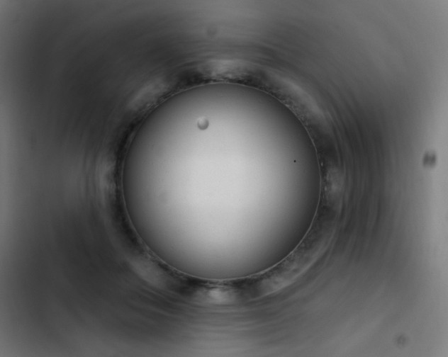 X0000103400506200809121245