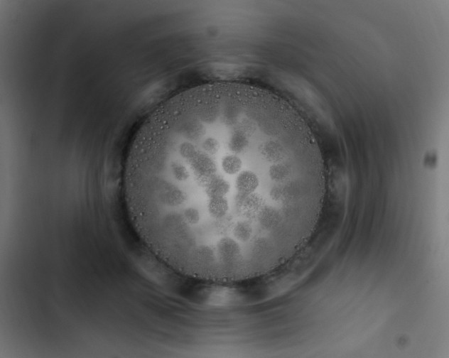 X0000103400507200809121245