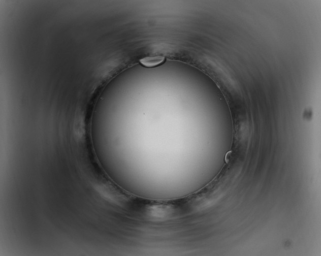 X0000103400508200809121245