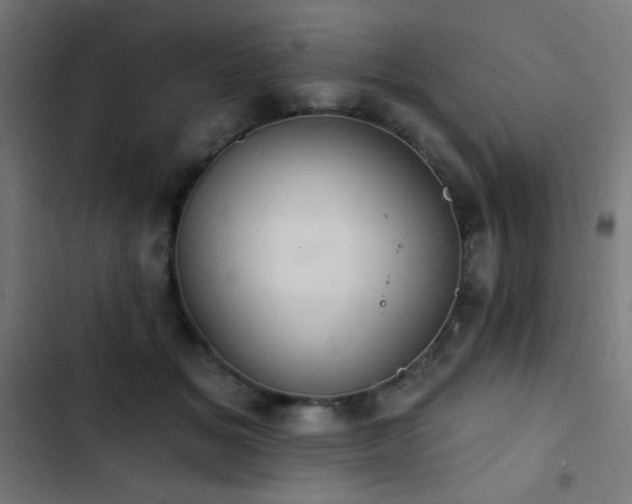 X0000103400509200809121245