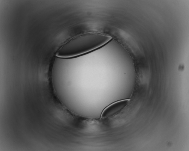 X0000103400512200809121245