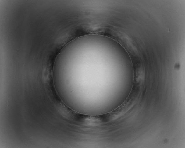 X0000103400515200809121245