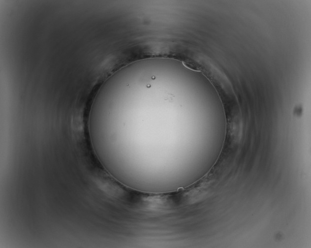 X0000103400516200809121245