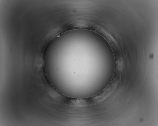 X0000103400517200809121245