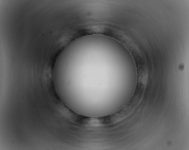 X0000103400518200809121245