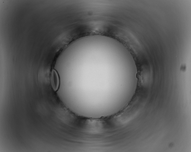 X0000103400520200809121245