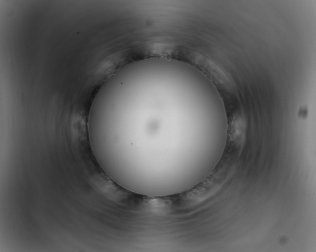 X0000103400522200809121245