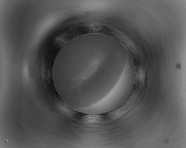 X0000103400526200809121245