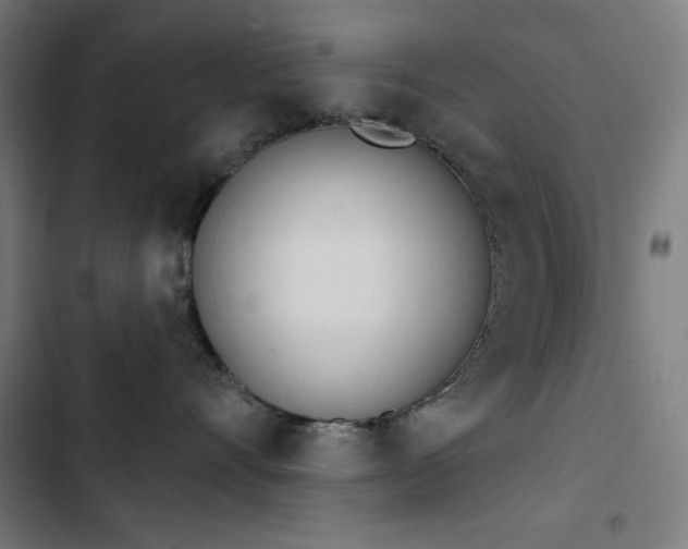 X0000103400528200809121245