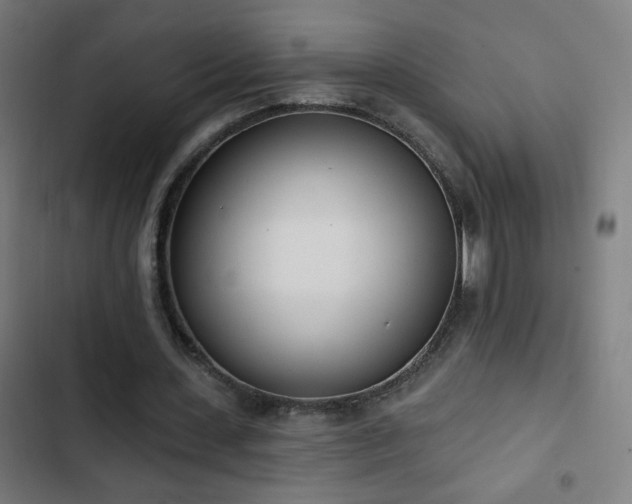 X0000103400531200809121244