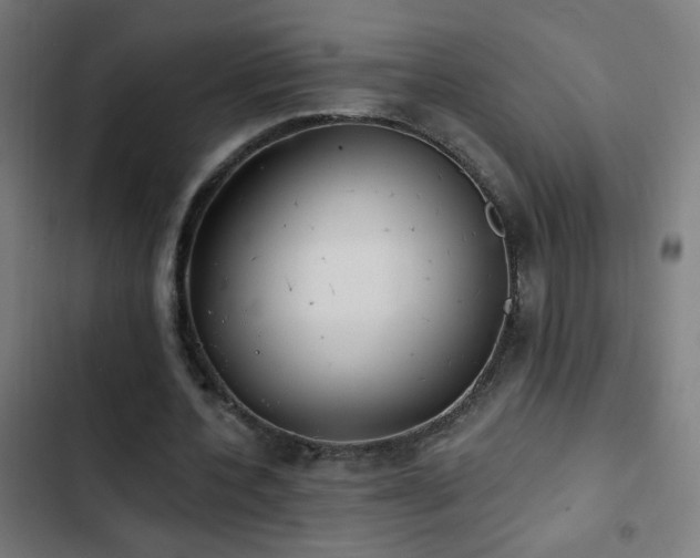 X0000103400532200809121244