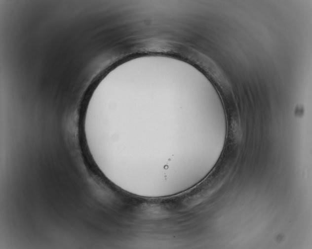 X0000103400534200809121244