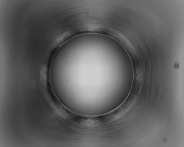 X0000103400542200809121244