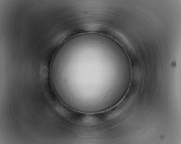 X0000103400549200809121244