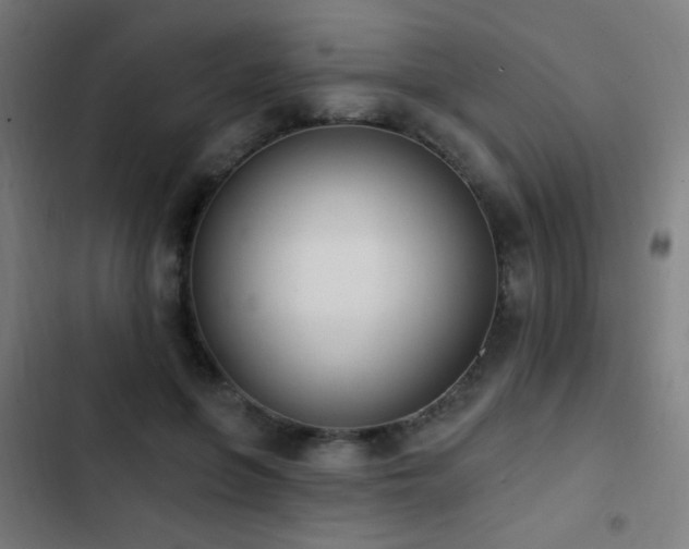 X0000103400551200809121244