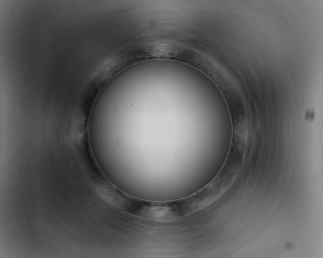 X0000103400554200809121245