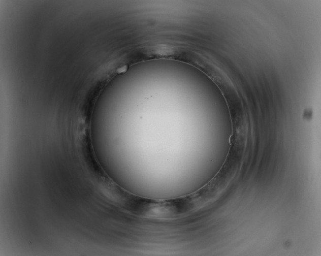 X0000103400555200809121245