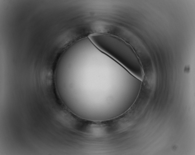 X0000103400556200809121245