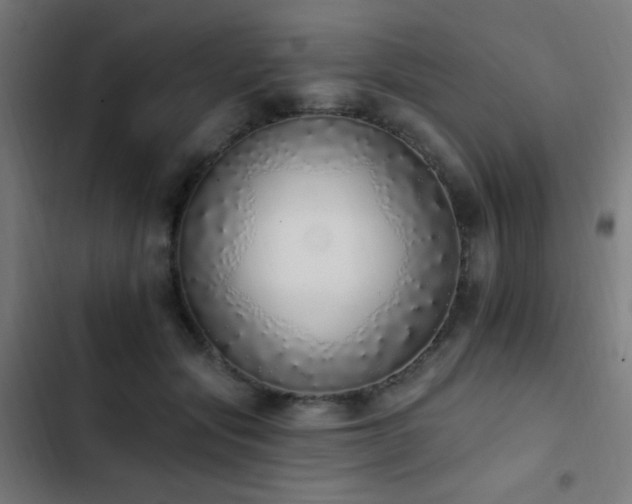 X0000103400557200809121245