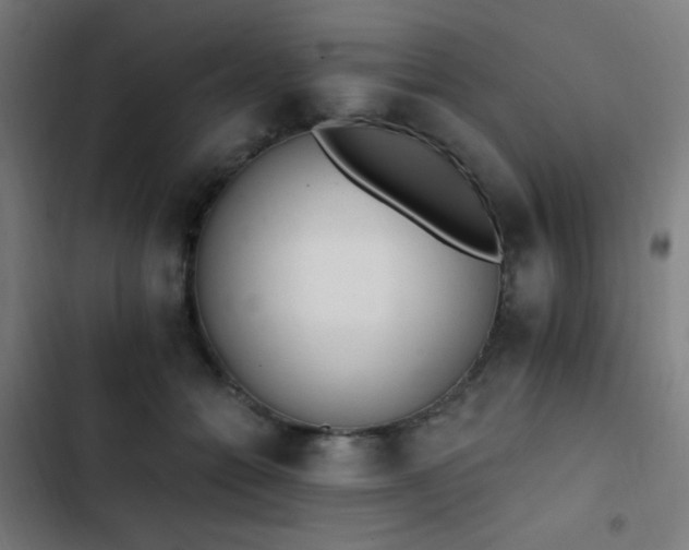 X0000103400558200809121245