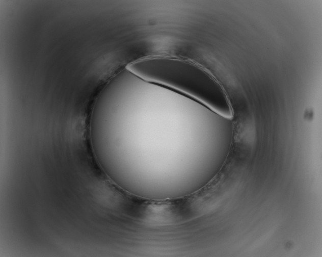 X0000103400560200809121245