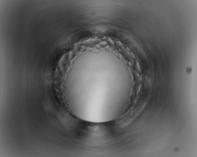 X0000103400561200809121245