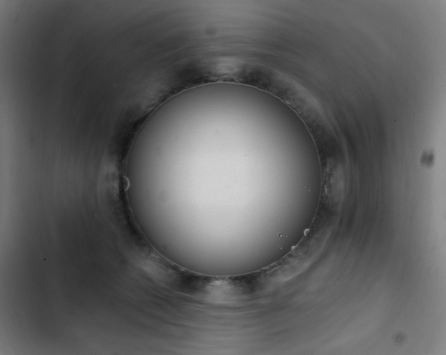 X0000103400562200809121245